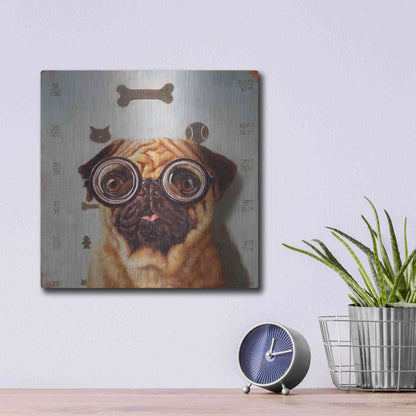 Luxe Metal Art 'Canine Eye Exam' by Lucia Heffernan, Metal Wall Art,12x12