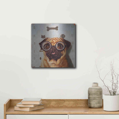 Luxe Metal Art 'Canine Eye Exam' by Lucia Heffernan, Metal Wall Art,12x12