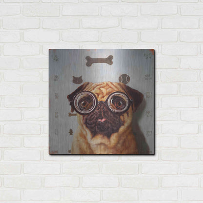 Luxe Metal Art 'Canine Eye Exam' by Lucia Heffernan, Metal Wall Art,24x24