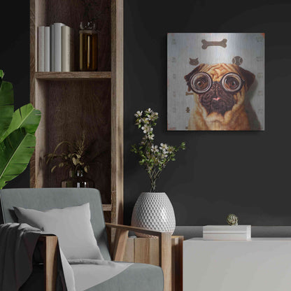 Luxe Metal Art 'Canine Eye Exam' by Lucia Heffernan, Metal Wall Art,24x24