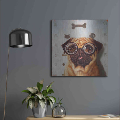 Luxe Metal Art 'Canine Eye Exam' by Lucia Heffernan, Metal Wall Art,24x24