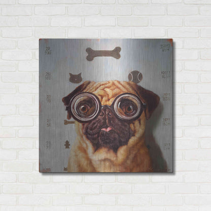 Luxe Metal Art 'Canine Eye Exam' by Lucia Heffernan, Metal Wall Art,36x36