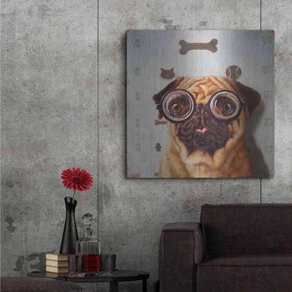 Luxe Metal Art 'Canine Eye Exam' by Lucia Heffernan, Metal Wall Art,36x36