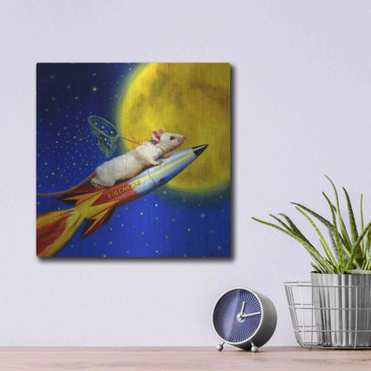 Luxe Metal Art 'Dream Catcher' by Lucia Heffernan, Metal Wall Art,12x12