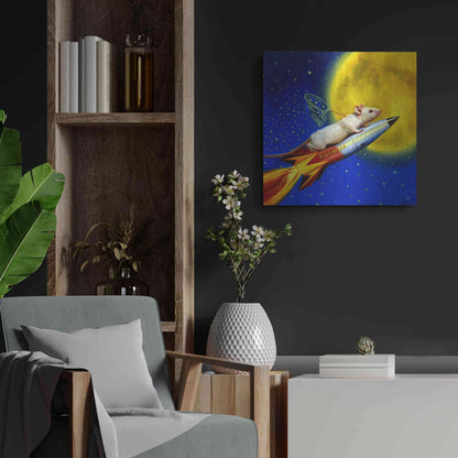 Luxe Metal Art 'Dream Catcher' by Lucia Heffernan, Metal Wall Art,24x24