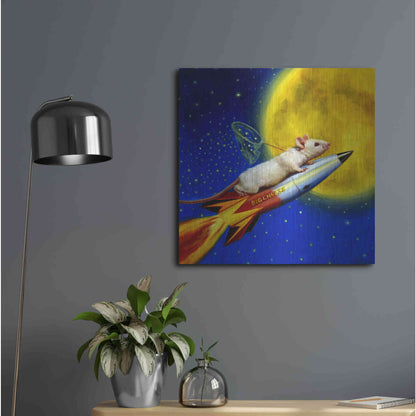 Luxe Metal Art 'Dream Catcher' by Lucia Heffernan, Metal Wall Art,24x24