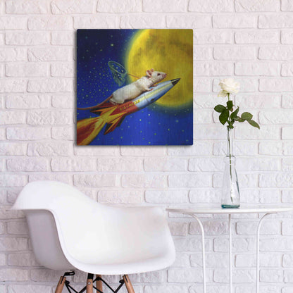 Luxe Metal Art 'Dream Catcher' by Lucia Heffernan, Metal Wall Art,24x24