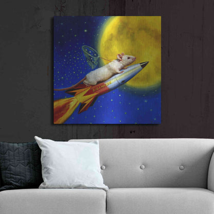 Luxe Metal Art 'Dream Catcher' by Lucia Heffernan, Metal Wall Art,36x36