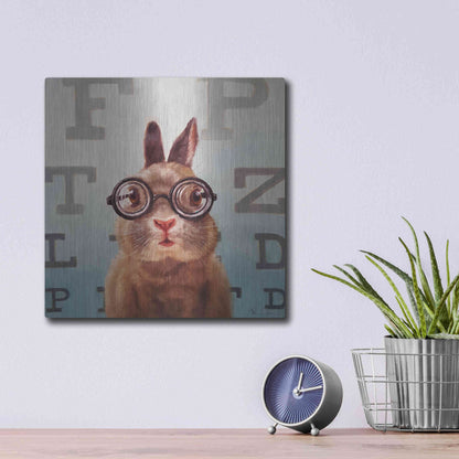 Luxe Metal Art 'Four Eyes' by Lucia Heffernan, Metal Wall Art,12x12