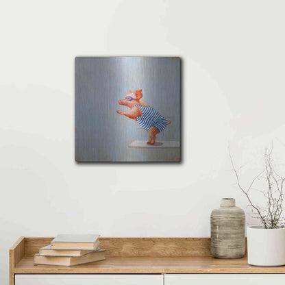 Luxe Metal Art 'The Plunge' by Lucia Heffernan, Metal Wall Art,12x12