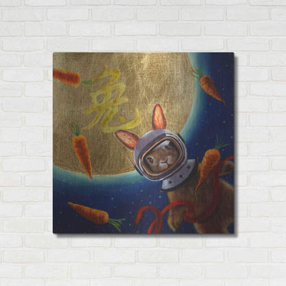 Luxe Metal Art 'Journey to the Moon' by Lucia Heffernan, Metal Wall Art,36x36