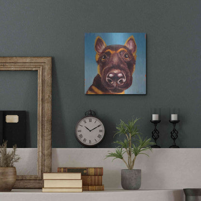 Luxe Metal Art 'Follow Your Nose 1' by Lucia Heffernan, Metal Wall Art,12x12