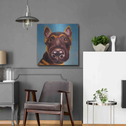 Luxe Metal Art 'Follow Your Nose 1' by Lucia Heffernan, Metal Wall Art,24x24