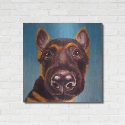 Luxe Metal Art 'Follow Your Nose 1' by Lucia Heffernan, Metal Wall Art,36x36