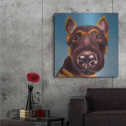 Luxe Metal Art 'Follow Your Nose 1' by Lucia Heffernan, Metal Wall Art,36x36