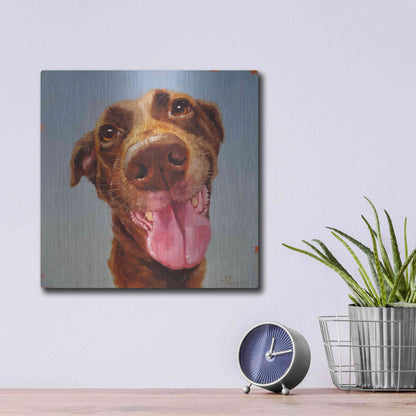 Luxe Metal Art 'Follow Your Nose 5' by Lucia Heffernan, Metal Wall Art,12x12