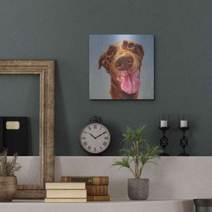 Luxe Metal Art 'Follow Your Nose 5' by Lucia Heffernan, Metal Wall Art,12x12