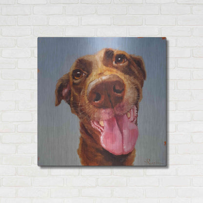 Luxe Metal Art 'Follow Your Nose 5' by Lucia Heffernan, Metal Wall Art,36x36