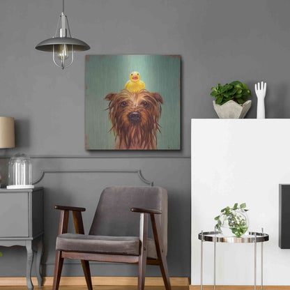 Luxe Metal Art 'Bath Time' by Lucia Heffernan, Metal Wall Art,24x24