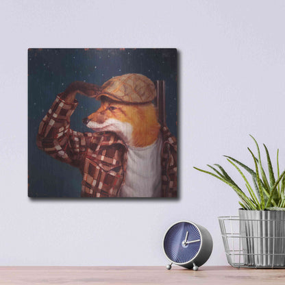 Luxe Metal Art 'Fox Hunt' by Lucia Heffernan, Metal Wall Art,12x12