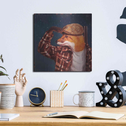 Luxe Metal Art 'Fox Hunt' by Lucia Heffernan, Metal Wall Art,12x12