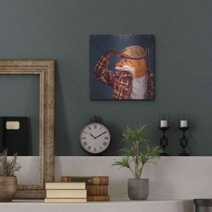 Luxe Metal Art 'Fox Hunt' by Lucia Heffernan, Metal Wall Art,12x12