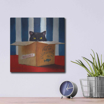 Luxe Metal Art 'Cat Burglar' by Lucia Heffernan, Metal Wall Art,12x12