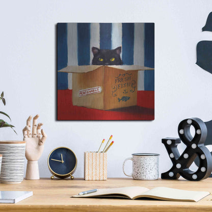 Luxe Metal Art 'Cat Burglar' by Lucia Heffernan, Metal Wall Art,12x12