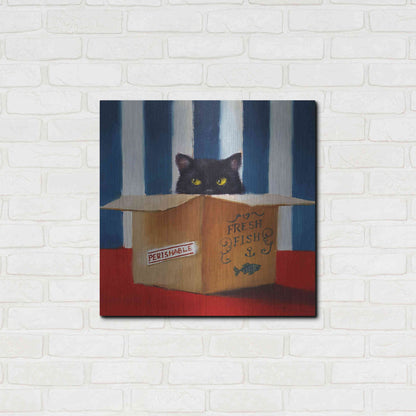 Luxe Metal Art 'Cat Burglar' by Lucia Heffernan, Metal Wall Art,24x24