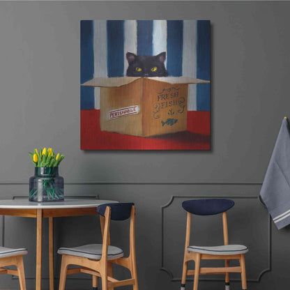 Luxe Metal Art 'Cat Burglar' by Lucia Heffernan, Metal Wall Art,36x36