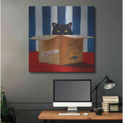 Luxe Metal Art 'Cat Burglar' by Lucia Heffernan, Metal Wall Art,36x36