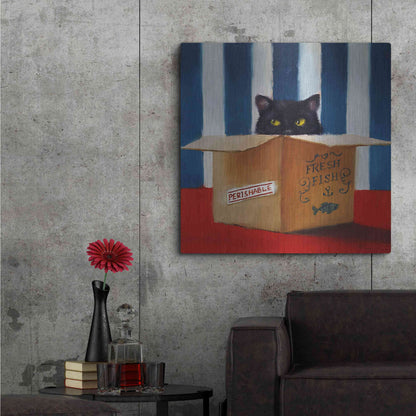Luxe Metal Art 'Cat Burglar' by Lucia Heffernan, Metal Wall Art,36x36