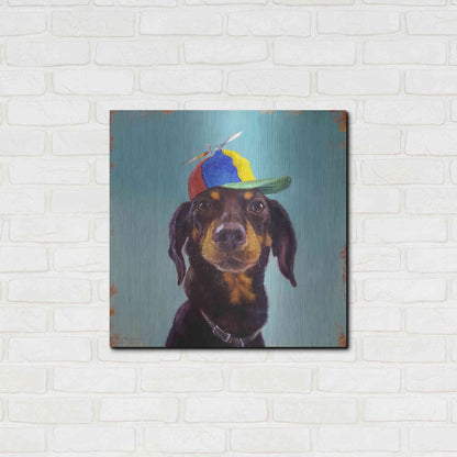 Luxe Metal Art 'Marcelo' by Lucia Heffernan, Metal Wall Art,24x24