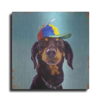 Luxe Metal Art 'Marcelo' by Lucia Heffernan, Metal Wall Art