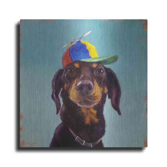 Luxe Metal Art 'Marcelo' by Lucia Heffernan, Metal Wall Art