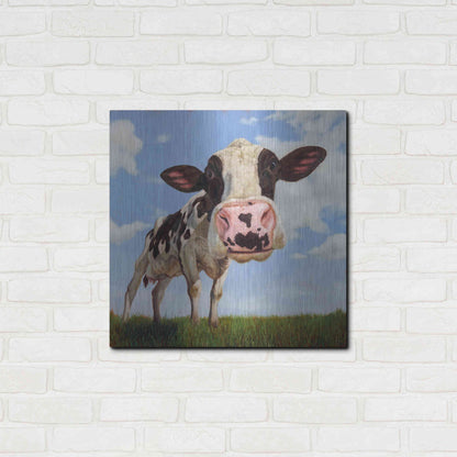 Luxe Metal Art 'Penelope' by Lucia Heffernan, Metal Wall Art,24x24