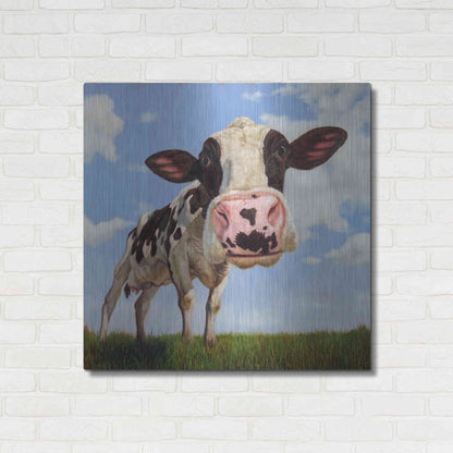 Luxe Metal Art 'Penelope' by Lucia Heffernan, Metal Wall Art,36x36