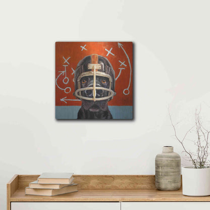 Luxe Metal Art 'Rookie' by Lucia Heffernan, Metal Wall Art,12x12