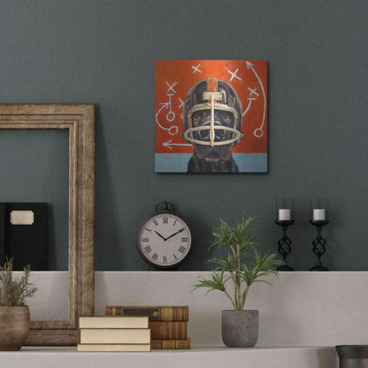 Luxe Metal Art 'Rookie' by Lucia Heffernan, Metal Wall Art,12x12