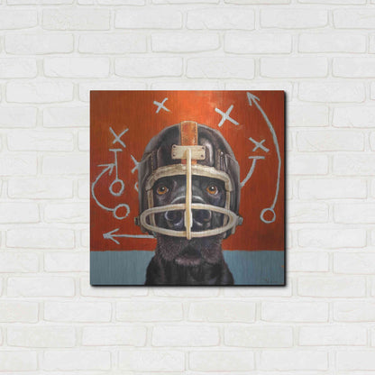 Luxe Metal Art 'Rookie' by Lucia Heffernan, Metal Wall Art,24x24