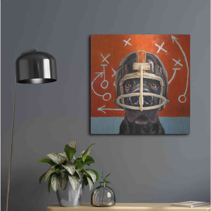 Luxe Metal Art 'Rookie' by Lucia Heffernan, Metal Wall Art,24x24