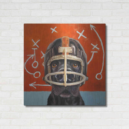 Luxe Metal Art 'Rookie' by Lucia Heffernan, Metal Wall Art,36x36