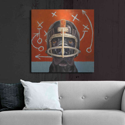 Luxe Metal Art 'Rookie' by Lucia Heffernan, Metal Wall Art,36x36