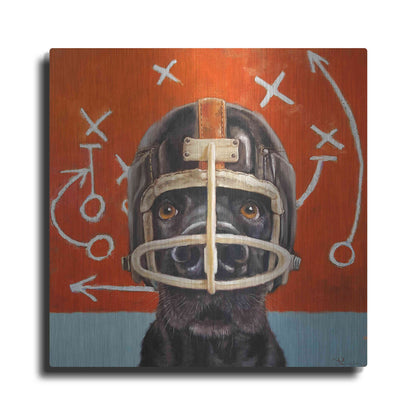 Luxe Metal Art 'Rookie' by Lucia Heffernan, Metal Wall Art