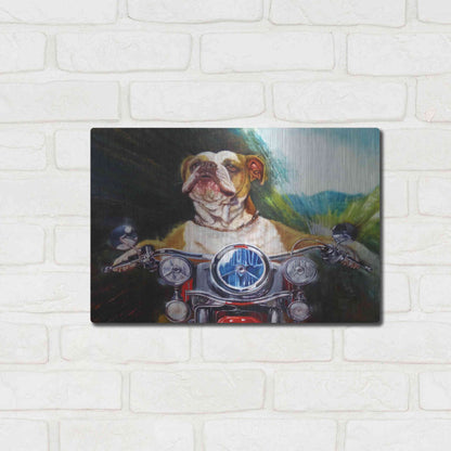 Luxe Metal Art 'Born To Be Wild' by Lucia Heffernan, Metal Wall Art,16x12