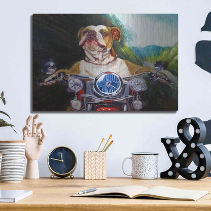 Luxe Metal Art 'Born To Be Wild' by Lucia Heffernan, Metal Wall Art,16x12