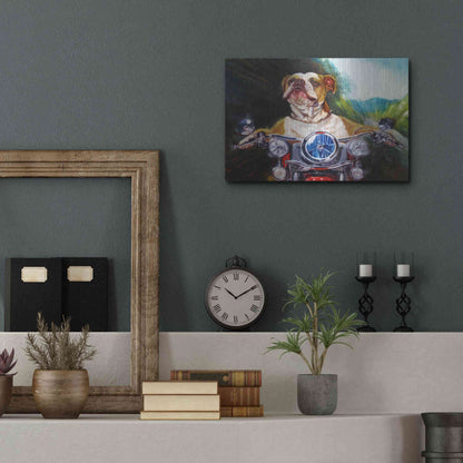 Luxe Metal Art 'Born To Be Wild' by Lucia Heffernan, Metal Wall Art,16x12