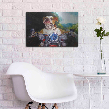 Luxe Metal Art 'Born To Be Wild' by Lucia Heffernan, Metal Wall Art,24x16