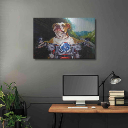 Luxe Metal Art 'Born To Be Wild' by Lucia Heffernan, Metal Wall Art,36x24