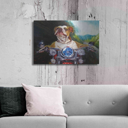 Luxe Metal Art 'Born To Be Wild' by Lucia Heffernan, Metal Wall Art,36x24